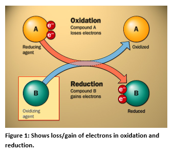 Science behind ORP or Oxidation Reduction Potential. This is a way to measure a chemical oxidizes or reduces another chemical substance. Oxidation is the loss of electrons by an atom, molecule, or ion