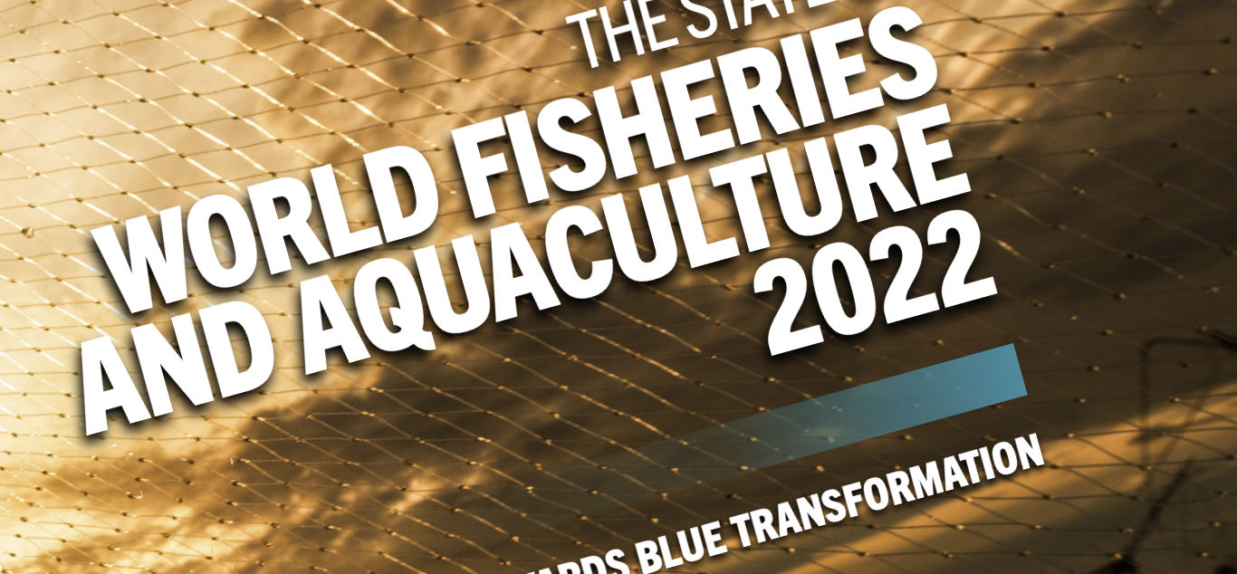2022 FAO Report for the United Nations on World Fisheries and Aquaculture